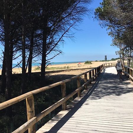 Appartamenti Narcisi Bibione Bagian luar foto